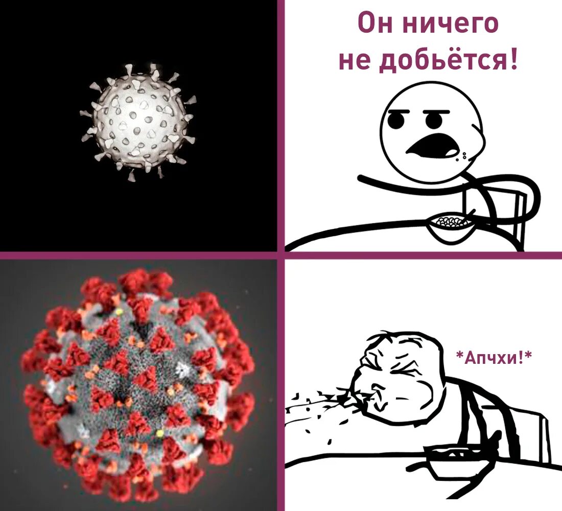 С вирусами справимся