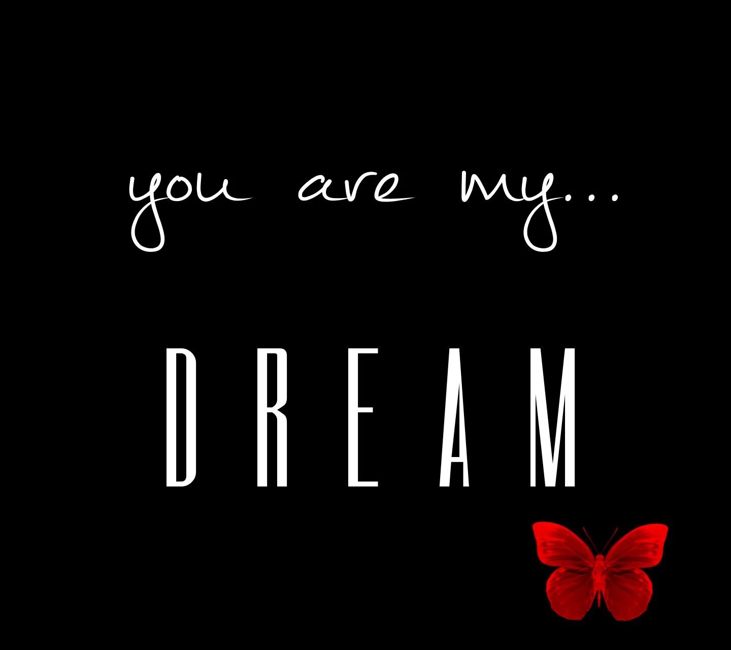 You are my everything. You are my. You are right my love. You are right my love. Send you love.