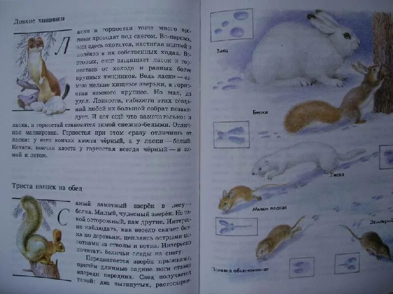 Зеленые страницы 3 класс виды животных окружающий. Книга зелёные страницы 3 класс животные. Плешаков зеленые страницы 3 класс. Плешаков зеленые страницы 3 класс животные. Книга зелёные страницы 3 класс виды животных окружающий мир Плешаков.