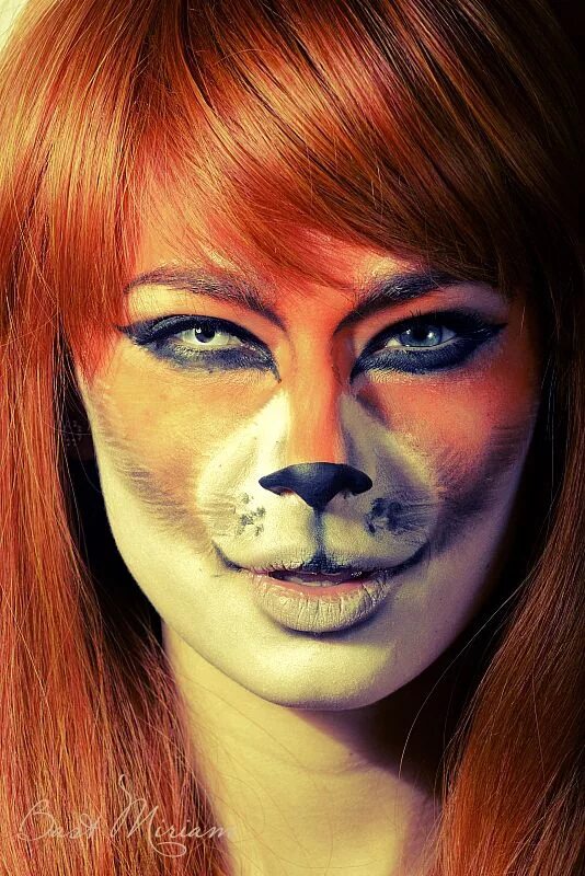 Легкий детский макияж лисы Ashley Alvey Fox Face Painting Design Face painting, Face painting easy, Face pa