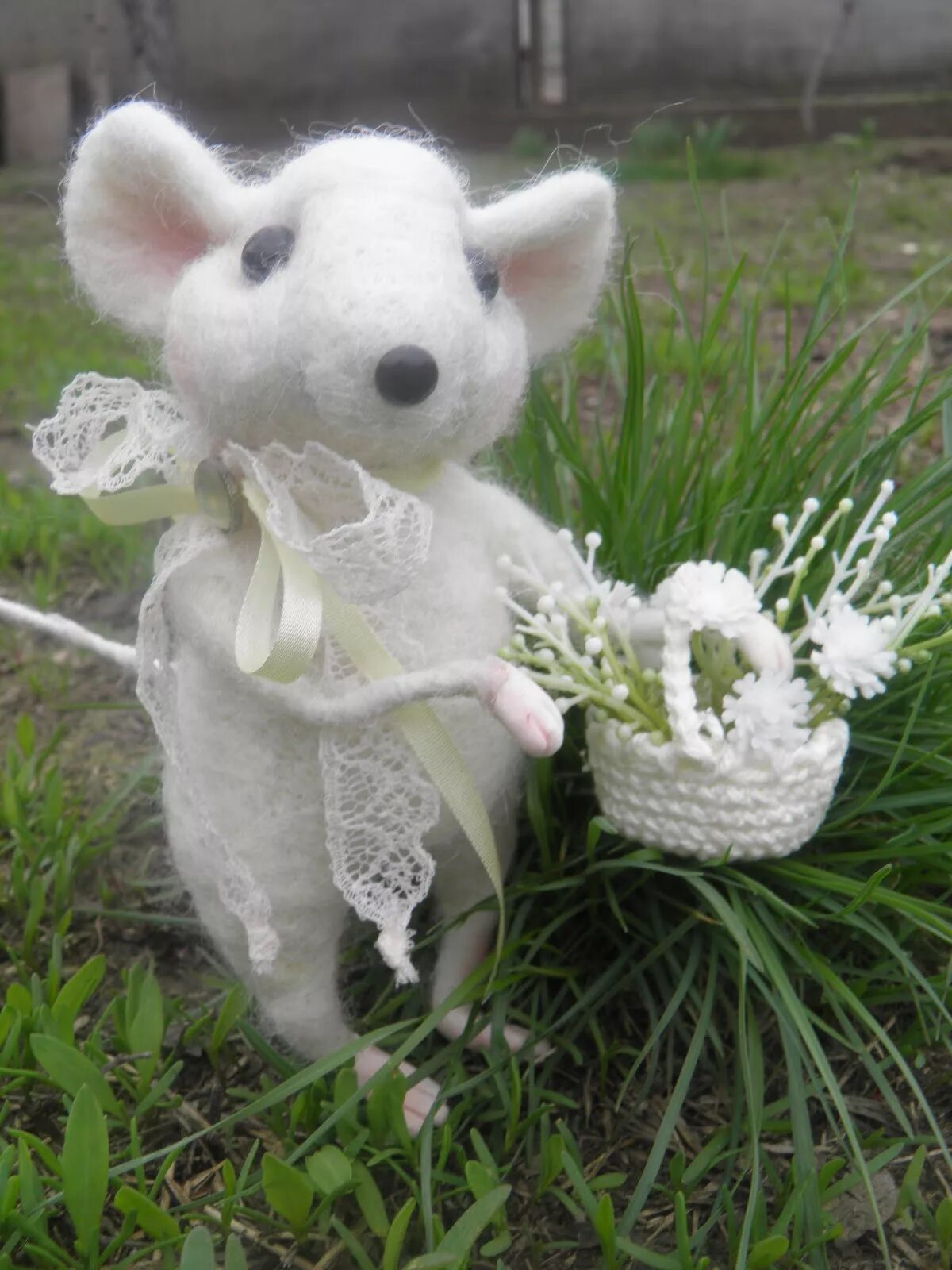 Мышь белая в греческом зале. Белые крысы линии вистар. В зале мышь белая. В зале мышь белая. Чем питается белая мышь.