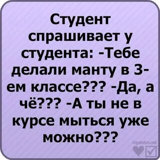 Спроси студента
