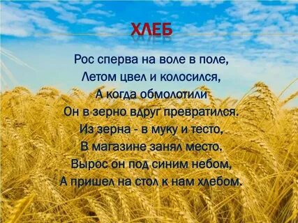 Поле пшеницы стих