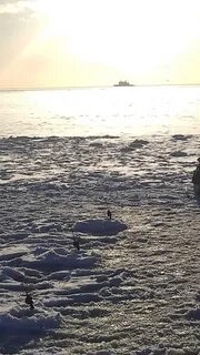 Вода в заливе сейчас