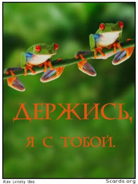 Держись картинки. Открытка держись. Открытка держись подруга я с тобой. Держись я с тобой. Открытки держись дружище.