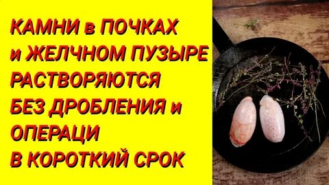 Желчный камень народное лечение