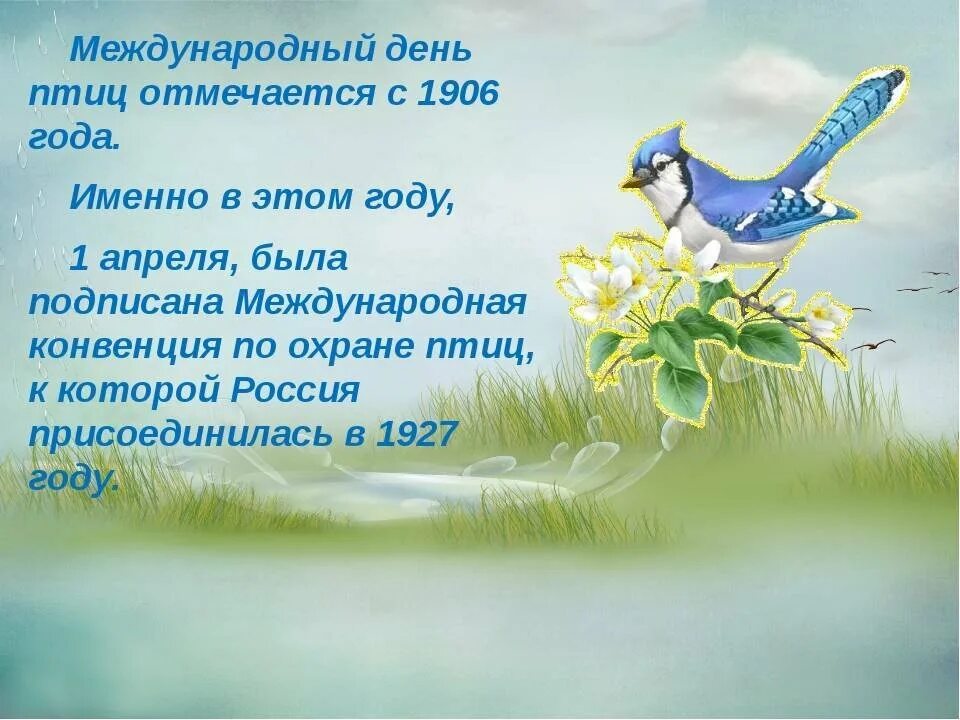 Праздник птиц 1 класс. День птиц. междунаровныйденьптиц. международный день птиц. 1 апреля день птиц.