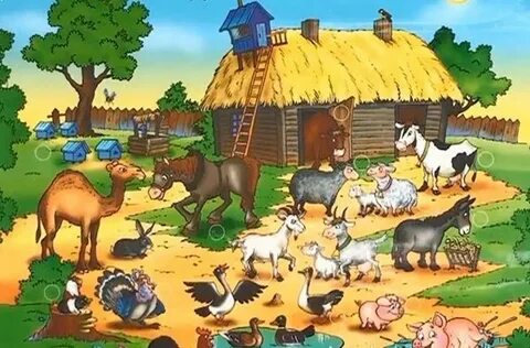 Жасырын камера қыздың порнороликтерін қараңыз