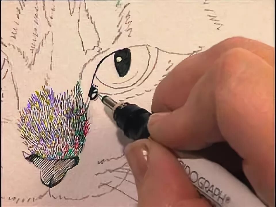 Nice part. Клаудиа найс рисунок тушью. claudia nice painting nature in pen &amp; ink with watercolor.