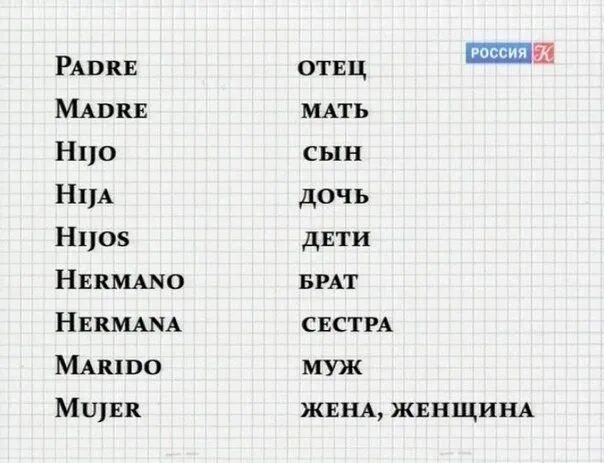 Уроки итальянского для начинающих с нуля. Учить испанский с нуля. Испанский язык учить. Испанский язык с нуля. Учим итальянский с нуля.