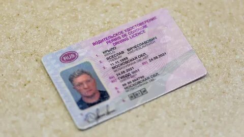 Амнистия по водительским правам 2024
