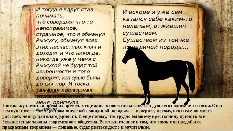 Лошадиная тоска. Фёдор Александрович Абрамов о чём плачут лошади. Лошадь для презентации. О чем думают лошади литература. В чем рассказчик обманул рыжуху в рассказе