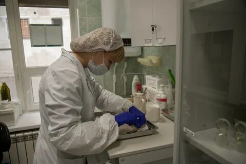 Заболеваемость в астрахани