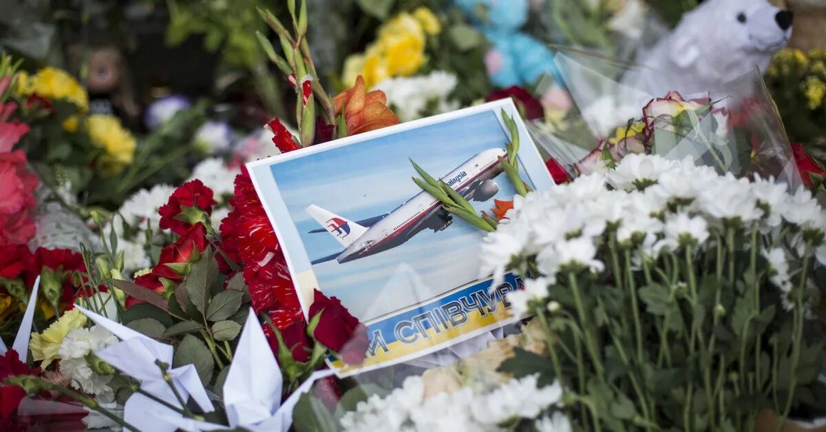 Крушение дату. Крушение самолёта Боинг 777 малазийских авиалиний над Украиной.