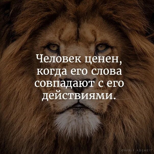 Нагорная проповедь: in_victory - ЖЖ