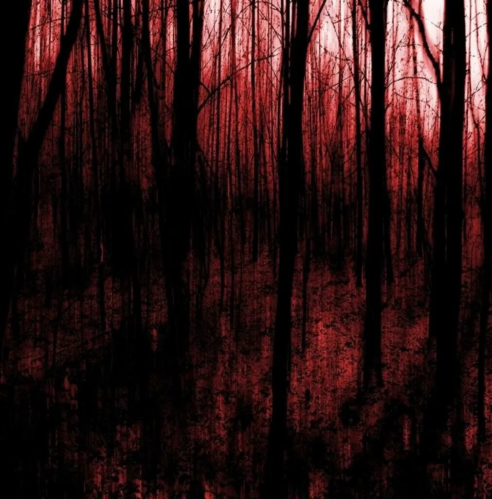 Ужасный фон. Страшный фон. Страшный красный лес. Лес темный страшный.