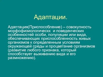 Адаптация названий