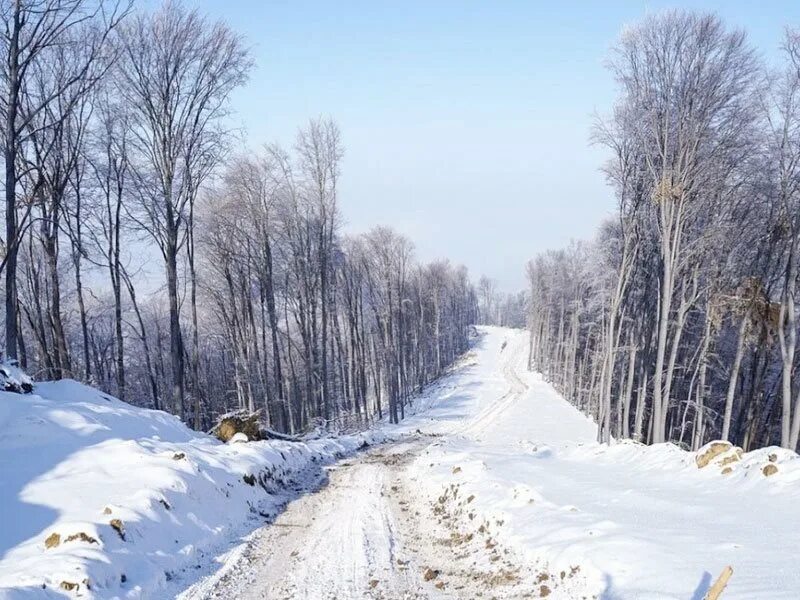 снежная равнина. мрачное небо. снежное б. снег идет. пермь снежная пермь 1.
