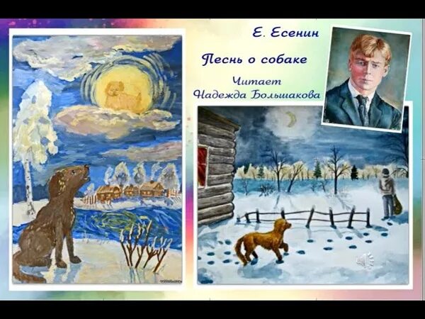 Семерых ощенила. Ощенила семерых щенят есенин. Семерых ощенила. Стихотворение песнь о собаке. Песнь о собаке есенин.