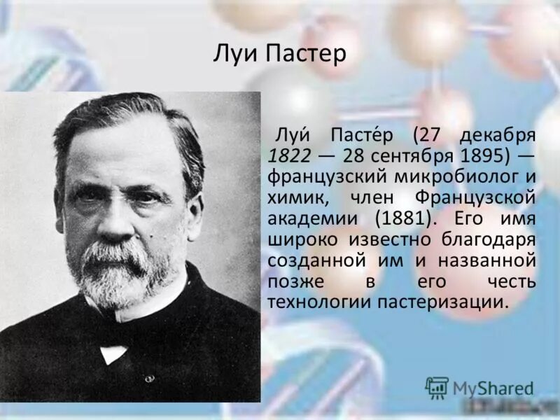 Луи Пастер открытия. Французский микробиолог Луи Пастер.. Луи Пастер 1857. Луи Пастер открытия учёного. 3 л пастера