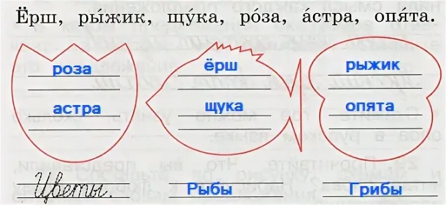 Прочитай две группы слов. Прочитайте и дополните каждую группу слов 2. Ерш и щука рыбы прописи 1 класс ответы. Ерш и щука рыбы прописи 1 класс. Прочитайте дополните каждую группу слов двумя существительными.