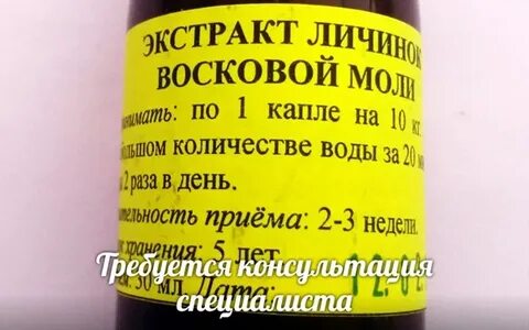 Срок годности экстрактов