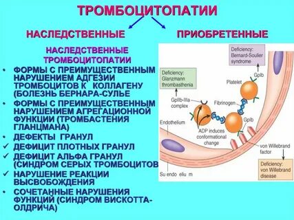 Генетический гемостаз
