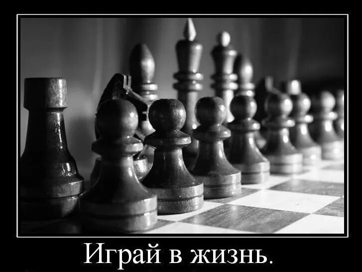 Цитаты про шахматы со смыслом. Проиграл в шахматы. Цитаты про шахматы и жизнь. Шахматы демотиватор.