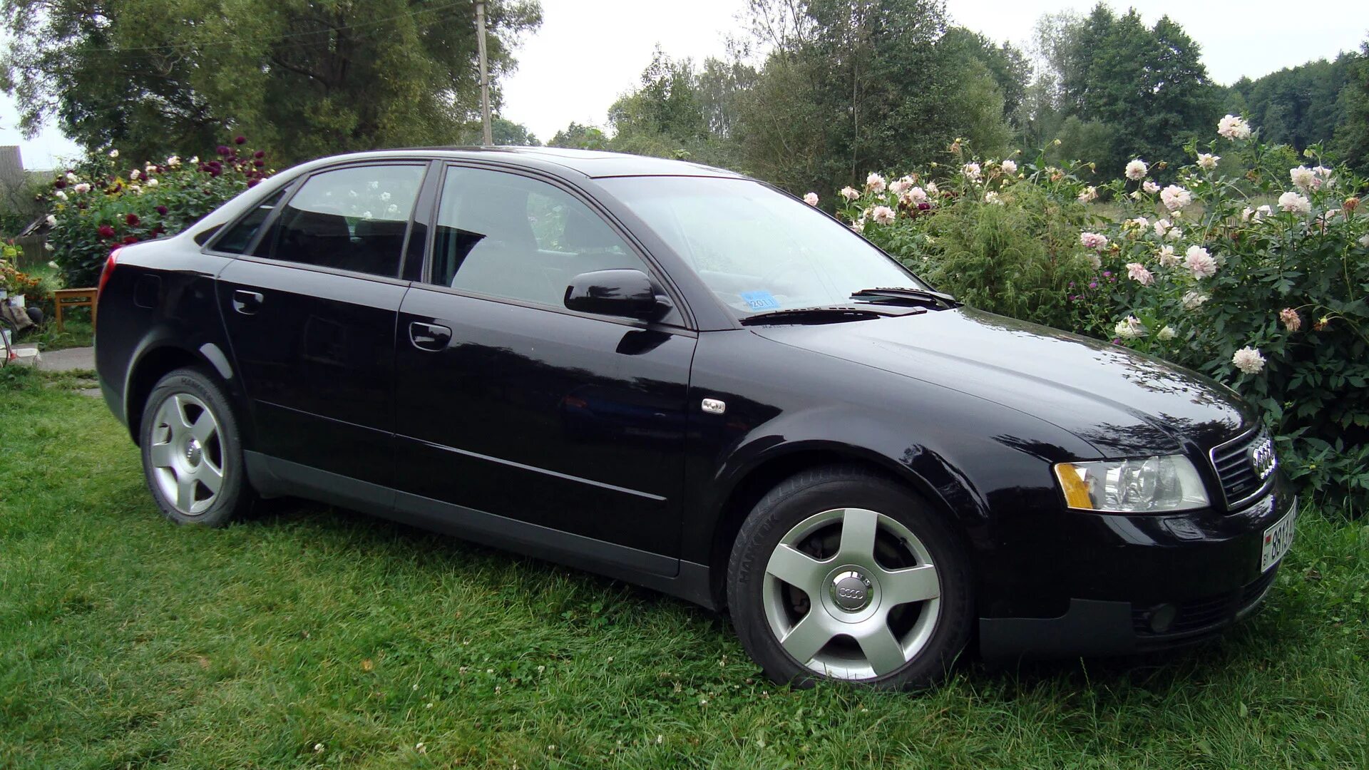 Купить ауди а6 2002. Audi a4 b6 2002. Audi a4 b6 2000. Audi a4 2002 1.8. Audi a6 2000 r16.