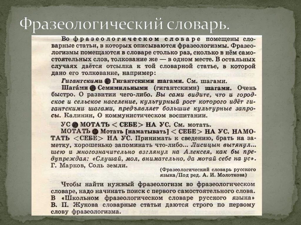 Фразеологизм первое слово. Словарь фразеологизмов. Фразеологический словарь. Русский фразеологический словарь. Словарь фразеологизмов русского.