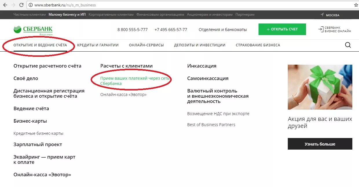 Как загрузить ведомость по зарплате в сбербанк бизнес онлайн