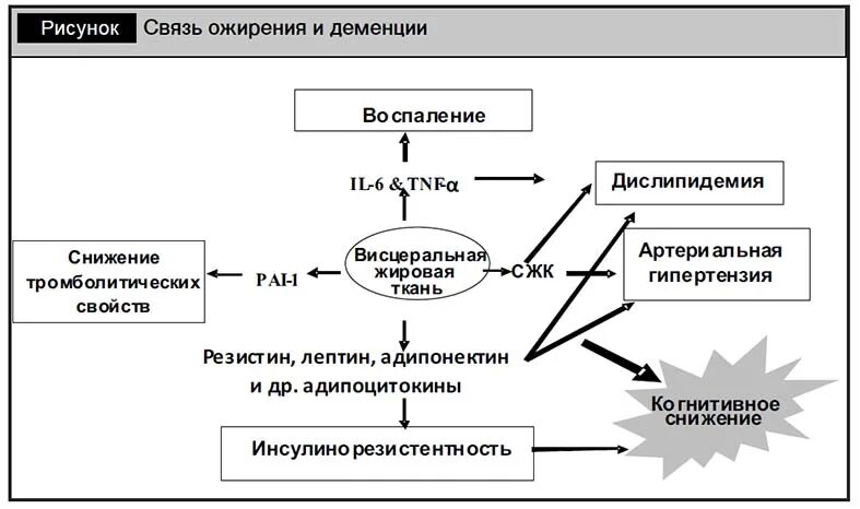 Стресс и ожирение связь. Стресс и вес взаимосвязь. Стресс и лишний вес. Ожирение и онкология связь.