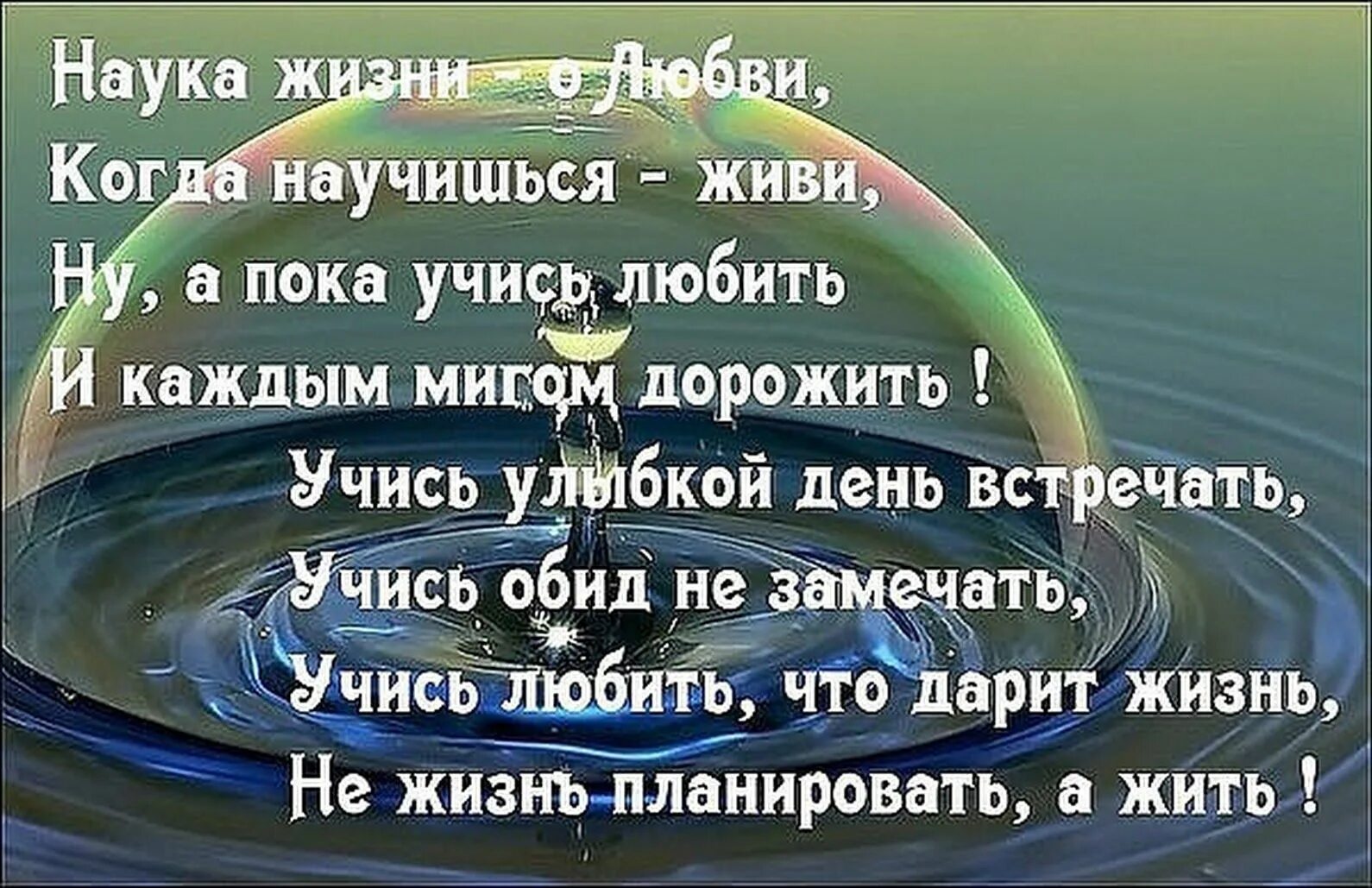 Живи учись любить