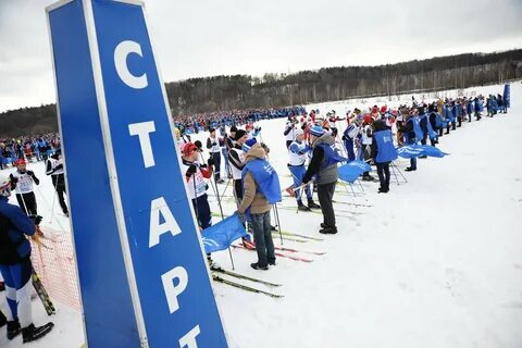 Московская лыжня
