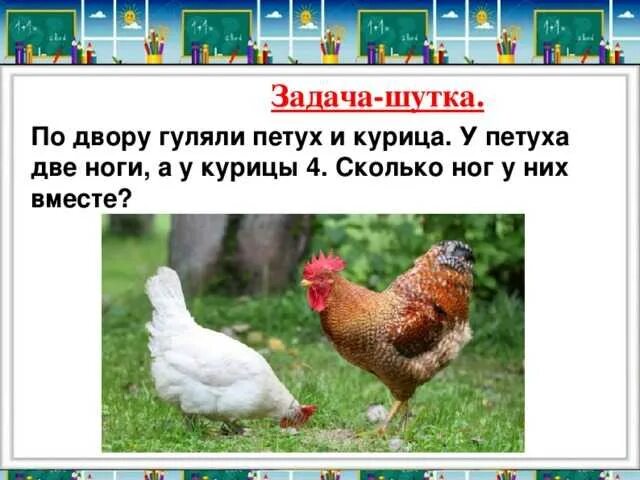 Две курицы и петух.