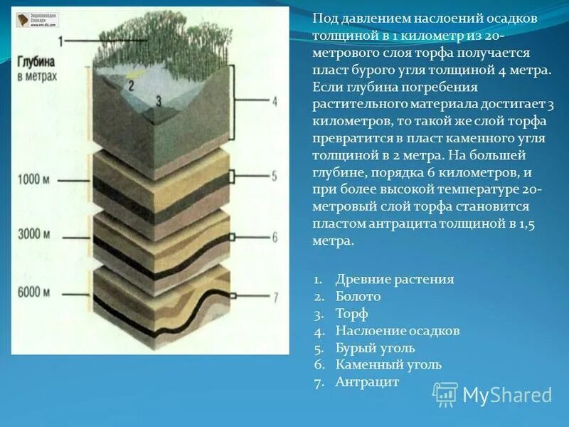 Каменный уголь глубина залегания. Слои залегания угля. Слои торфа. Залегание пластов угля.