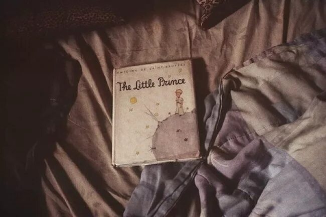 Вы красивые но пустые. Ради пустых. Ради пустых. Ради пустых. Антуан де сент-экзюпери фразы маленький принц.