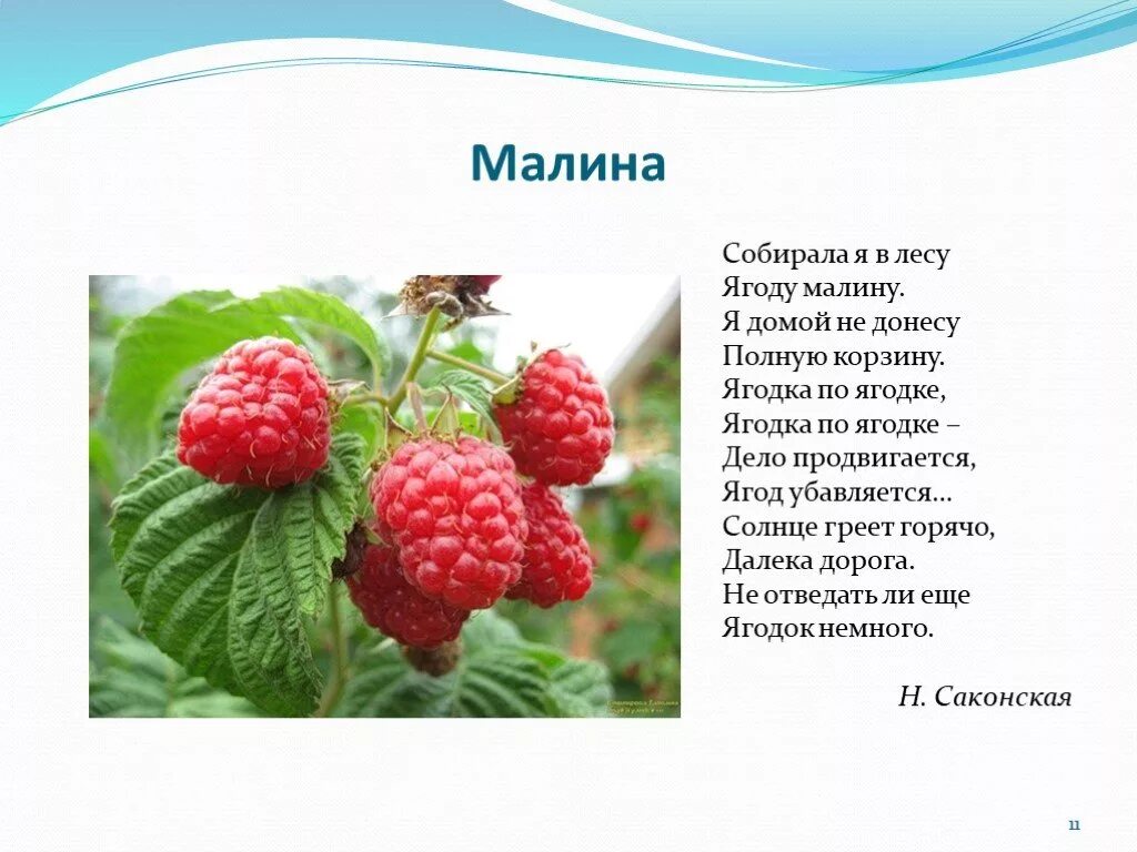 Песня ягода малинка словами на русском. Стих про малину. Стихи о ягоде Малине. Стихотворение пра Мадину. Стих про малину для детей.