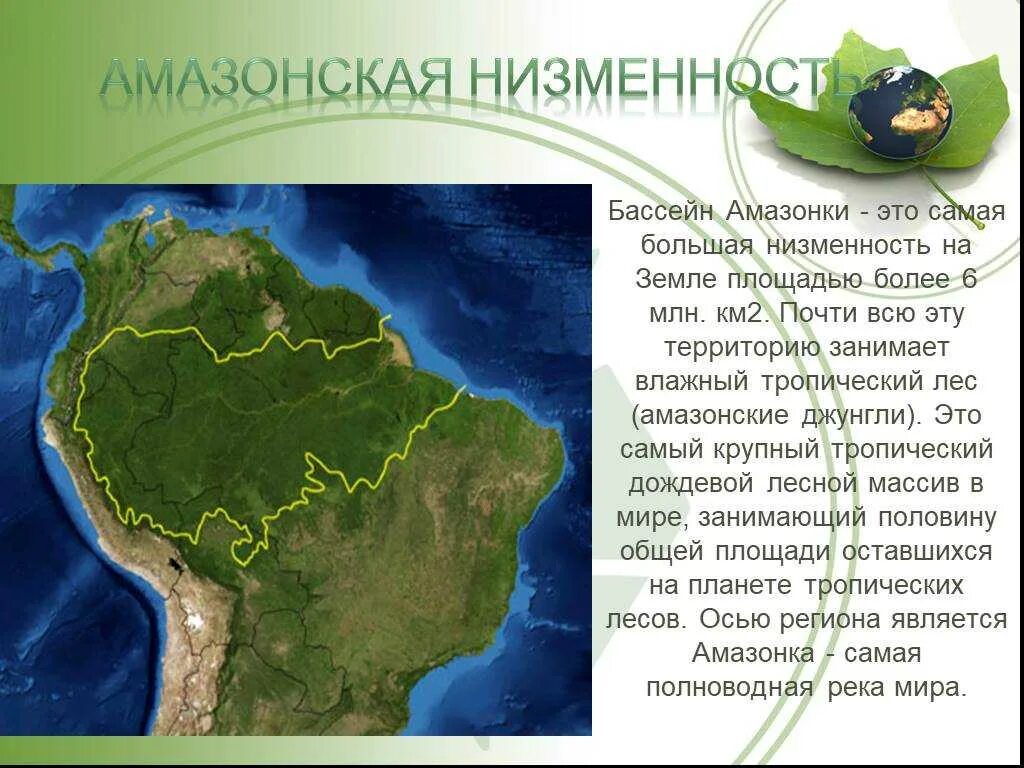 Площадь бассейна реки млн км2. Бассейн реки Амазонка в Южной Америке. Амазонская низменность. Территория амазонской низменности. Равнина Амазонская низменность.