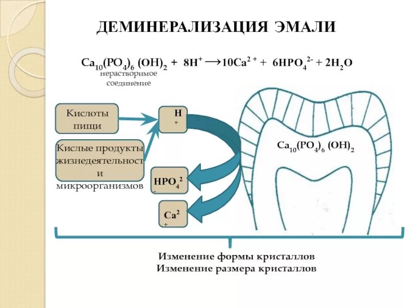 Биохимия зуба. Деминерализация и реминерализация эмали. Реминерализация зубов кариес. Механизм деминерализации и реминерализации эмали. Реминерализация эмали схема.