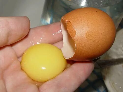 Краски на яичном желтке. Желток в руке. Краситель в желтках яиц. Яичная эмульсия. Яичные краски.