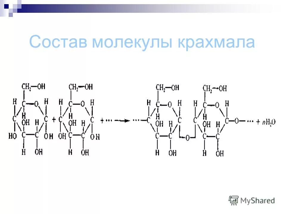 Синтез крахмала