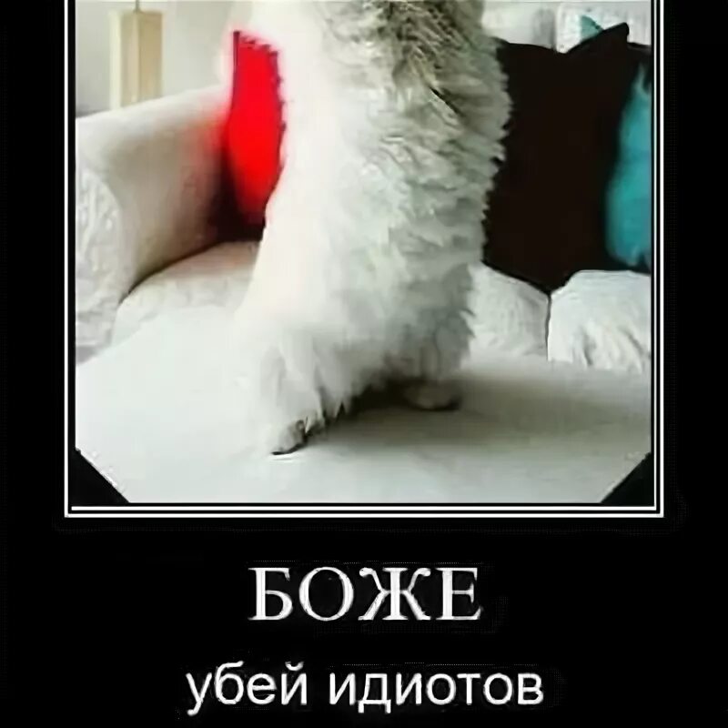 Боже убей идиотов мем. Ой идиот иван васильевич. Мемы про придурков. Господи даруй людям мозг а некоторым еще инструкцию по применению. Боже убей идиотов.