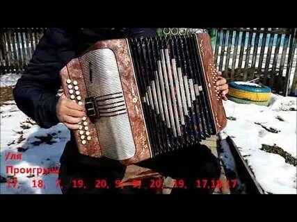 Любо разбор