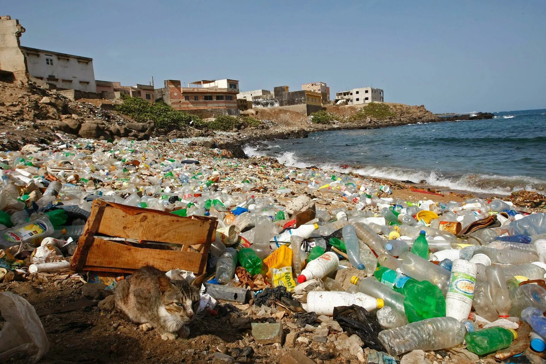 Проблемы окружающей среды. Загрязнение океана.