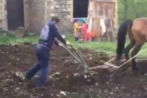 Ты что совсем пацана пахать