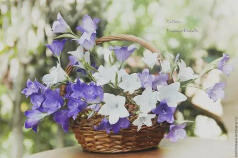 Нежные колокольчики