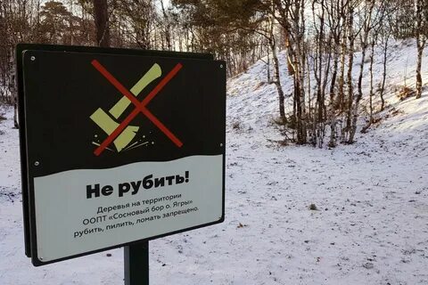 В лесу не ездят