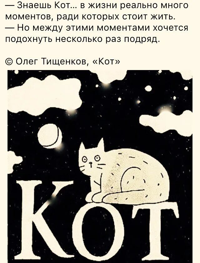 Кот знает что он кот. Знаешь кот. знаешь кот в жизни. знаешь кот в жизни реально много моментов ради которых. картинка знаешь кот.