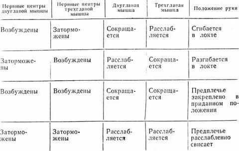 Таблица мышц рук